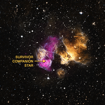 Illustration for article titled Companion to a Supernova